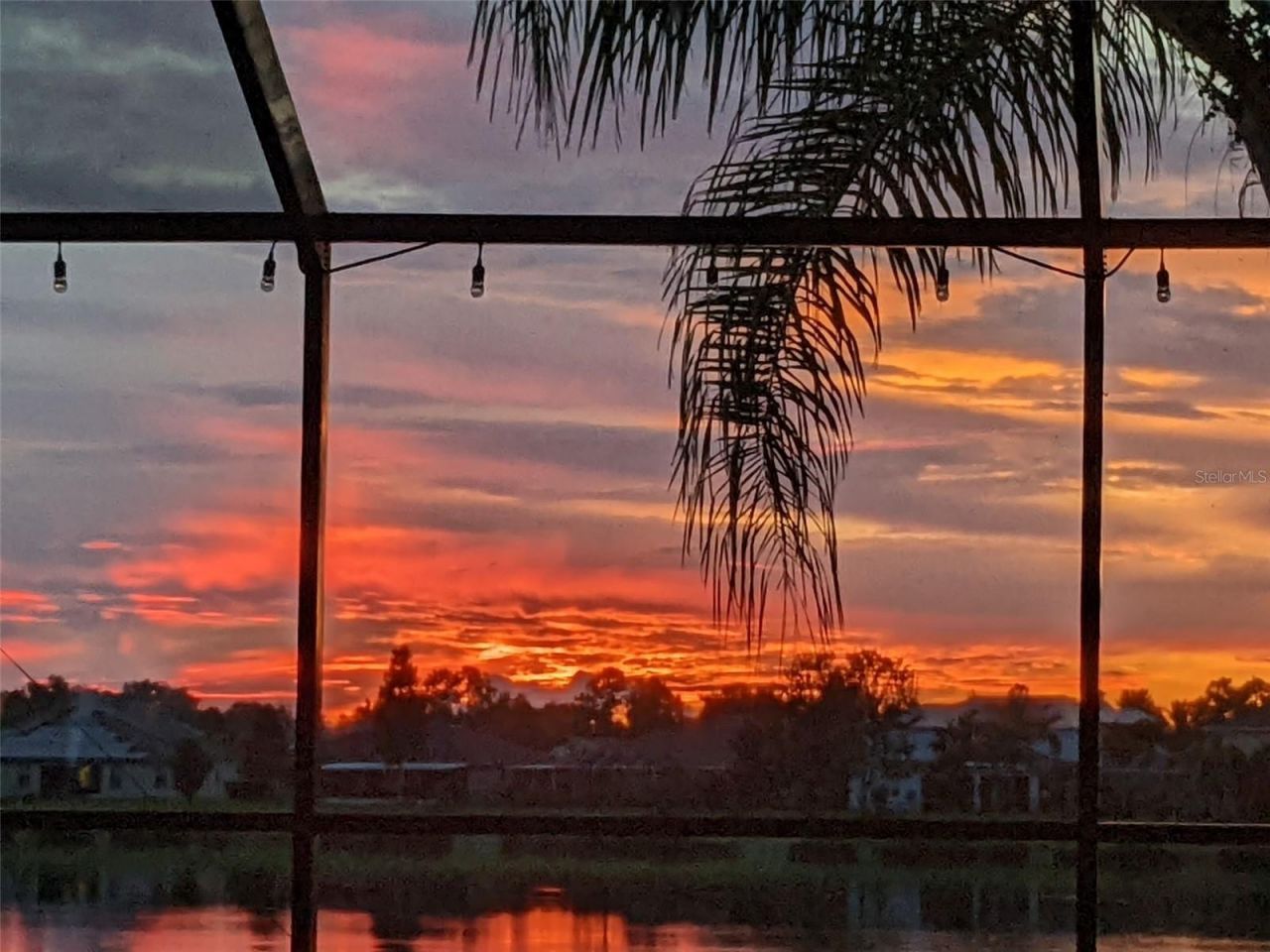 5431 Sandy Shell Drive, Apollo Beach, FL 33572 Photo