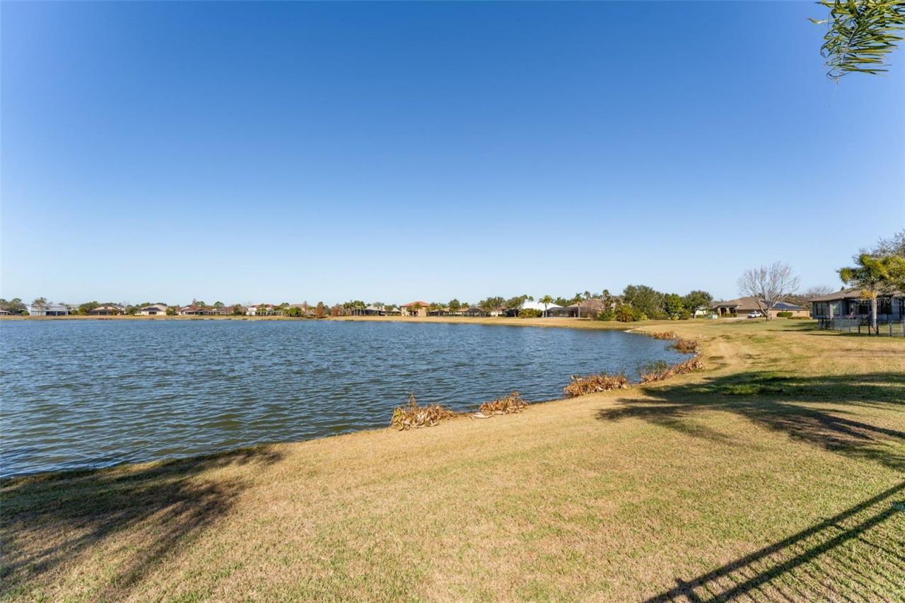 5431 Sandy Shell Drive, Apollo Beach, FL 33572 Photo