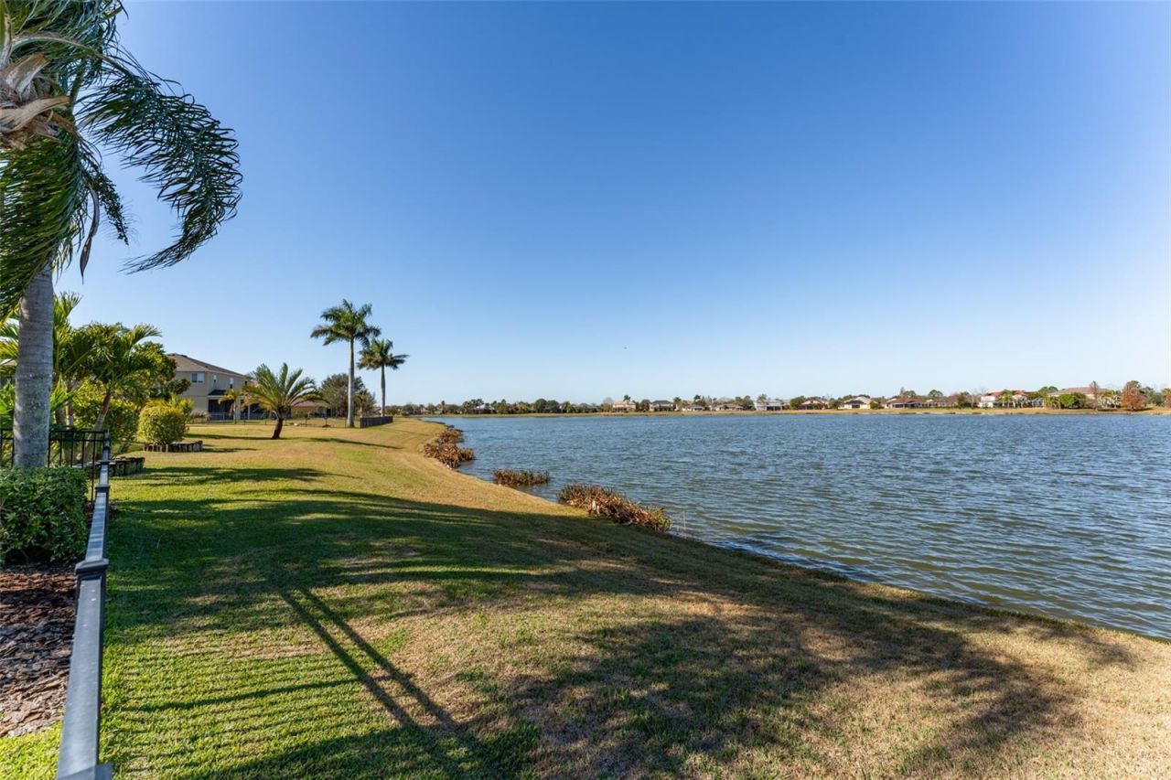 5431 Sandy Shell Drive, Apollo Beach, FL 33572 Photo