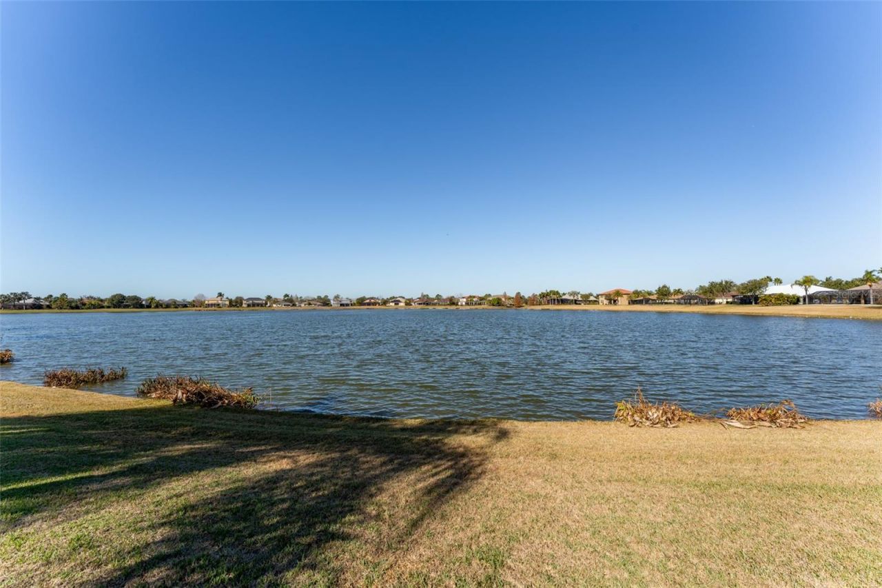 5431 Sandy Shell Drive, Apollo Beach, FL 33572 Photo