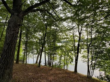 XXX Acorn Road , Burtrum, MN 56318