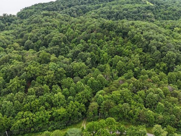 0 Fortunato Drive , White Pine, TN 37890