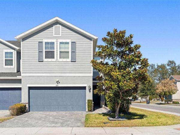 1101 ARBOUR VERDE COURT, TAMPA, FL 33613