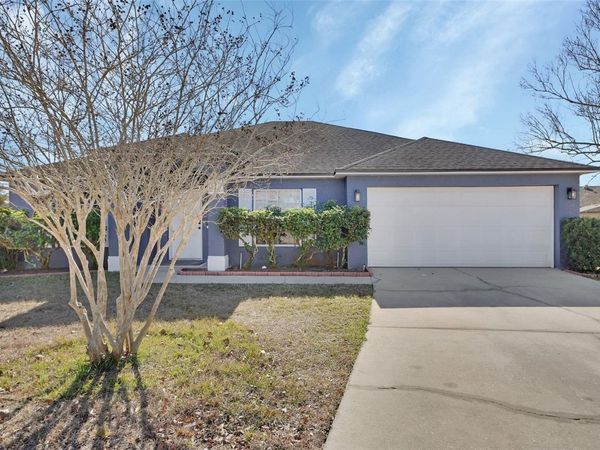 828 WHITE BIRCH COURT, ORANGE CITY, FL 32763