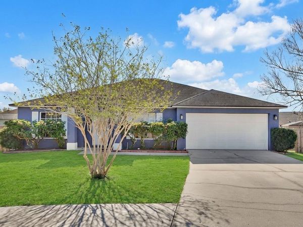 828 WHITE BIRCH COURT, ORANGE CITY, FL 32763