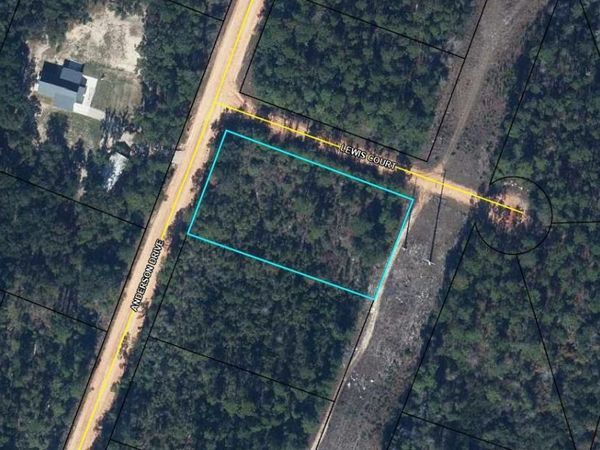 00 Lewis Court , Alford, FL 32420