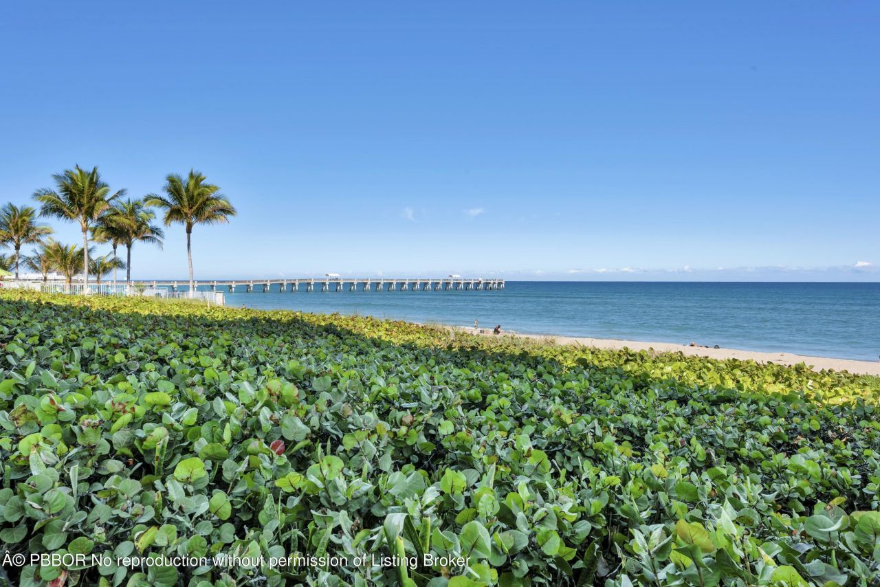 3100 S Ocean Boulevard, Unit 201S, Palm Beach, FL 33480 Photo