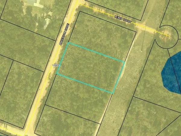 00 Anderson Drive , Alford, FL 32420