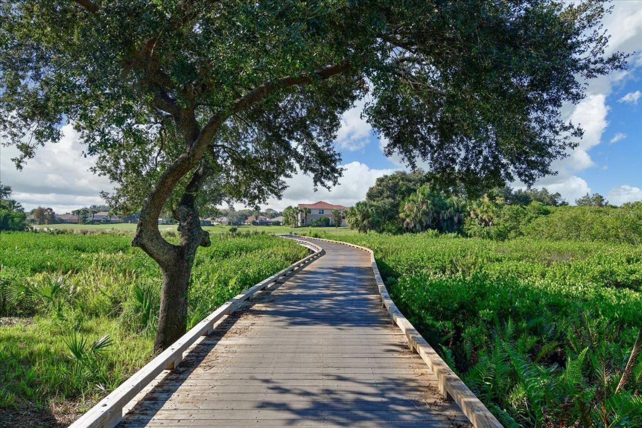 646 Foggy Morn Lane, Bradenton, FL 34212 Photo