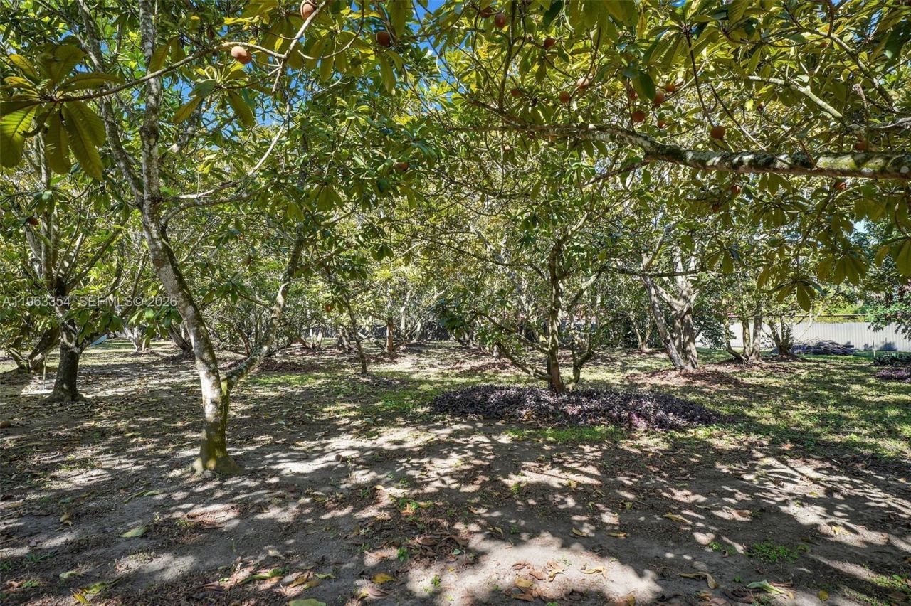 19955 SW 186th St, Miami, FL 33187 Photo