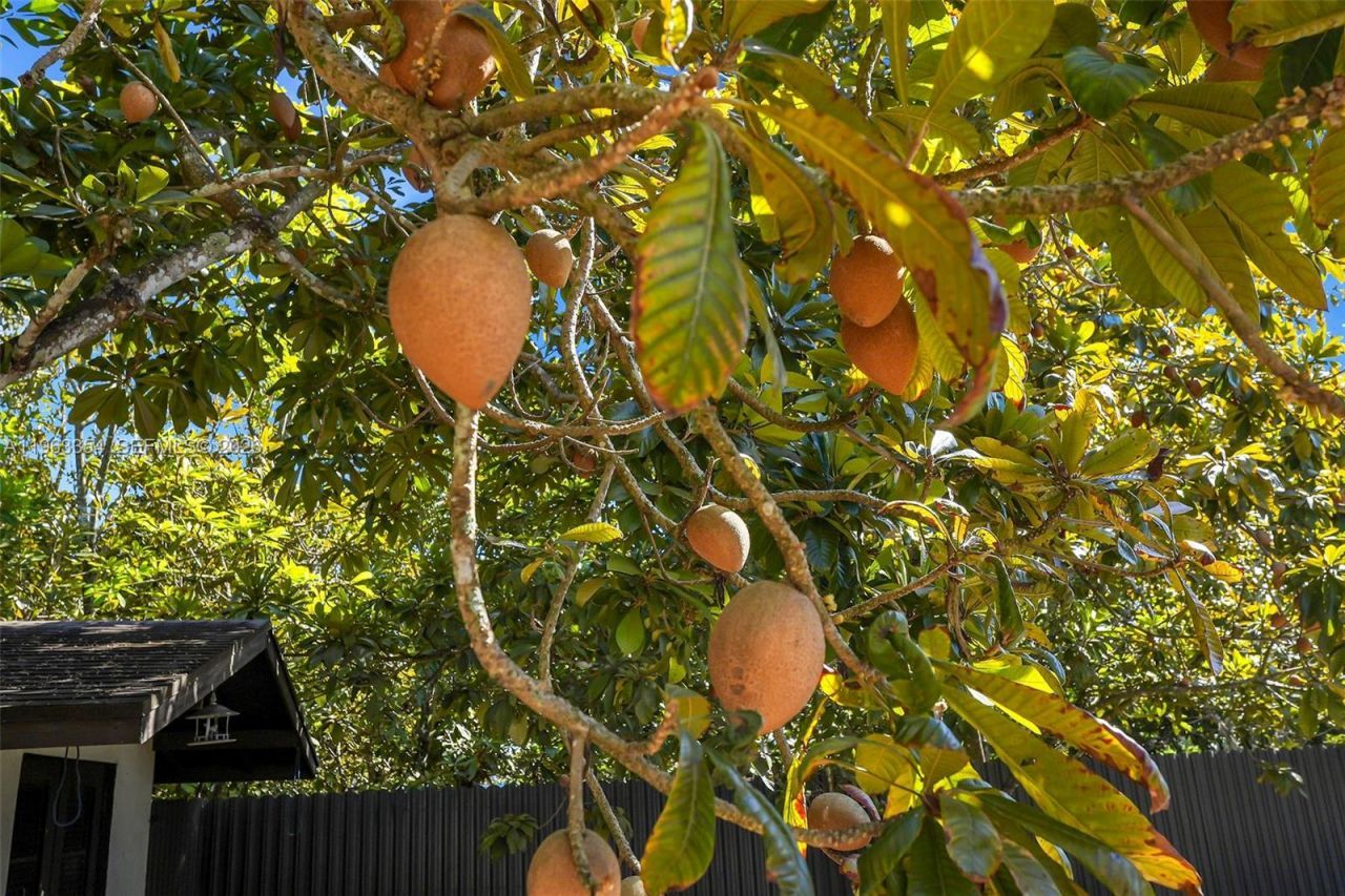 19955 SW 186th St, Miami, FL 33187 Photo