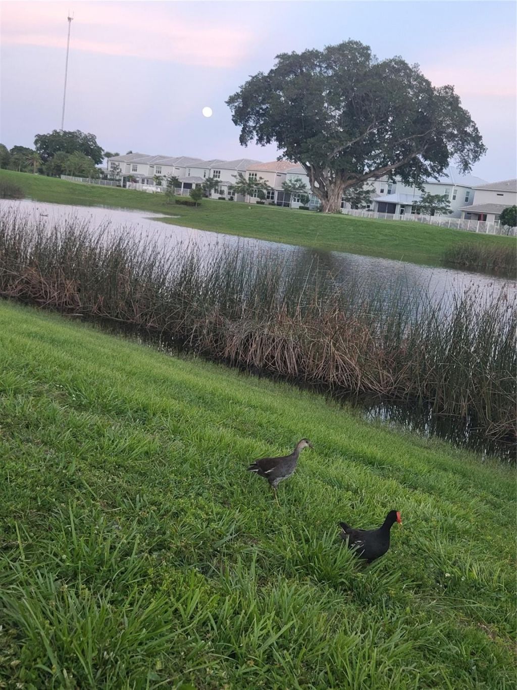 4400 Hillcrest Dr, Unit 404, Hollywood, FL 33021 Photo