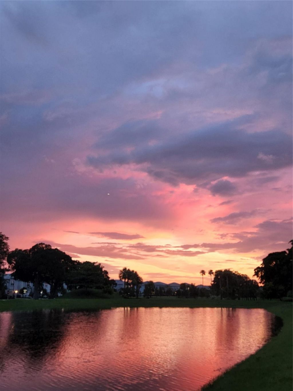 4400 Hillcrest Dr, Unit 404, Hollywood, FL 33021 Photo