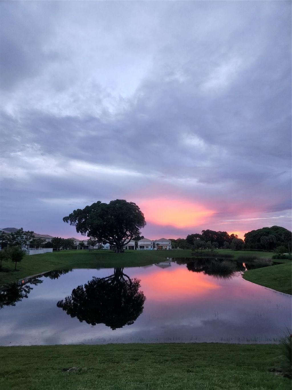 4400 Hillcrest Dr, Unit 404, Hollywood, FL 33021 Photo