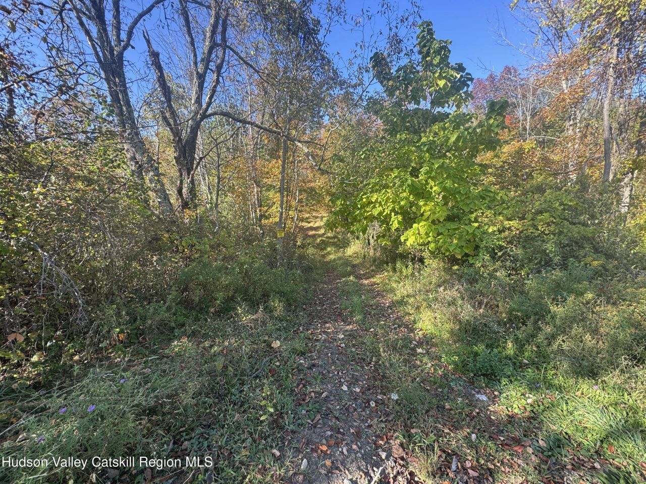 Lot 2 Snydertown Road, Craryville, NY 12521 Main Photo