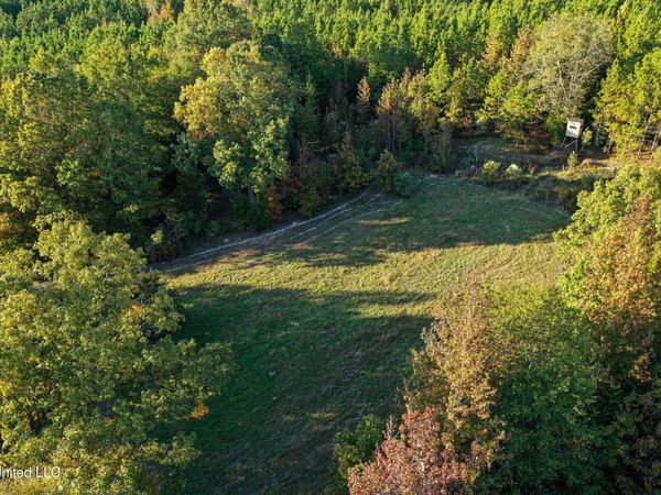 01 County Road 107 , Pittsboro, MS 38951