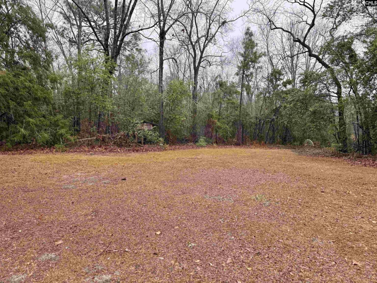 960 Old Charleston Road  Photo 29