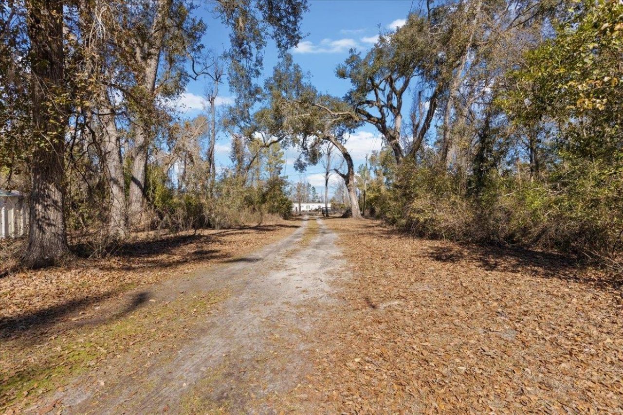 164 NE Fir, Pinetta, FL 32350 Photo