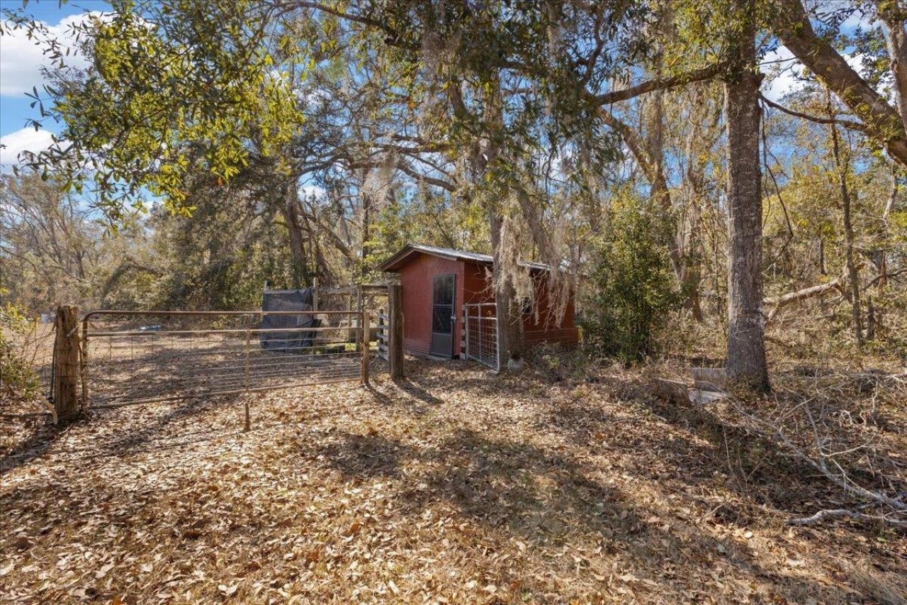 164 NE Fir, Pinetta, FL 32350 Photo