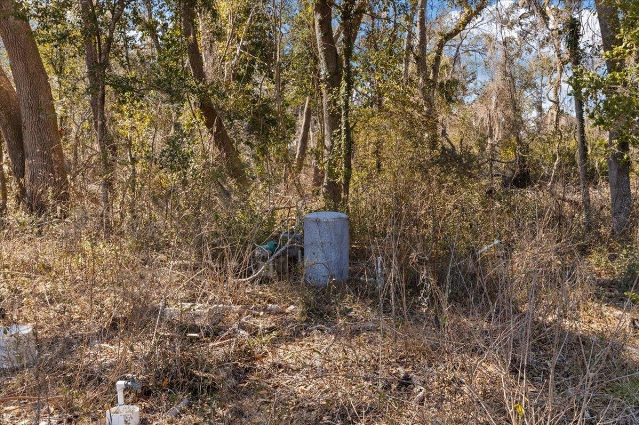 164 NE Fir, Pinetta, FL 32350 Photo