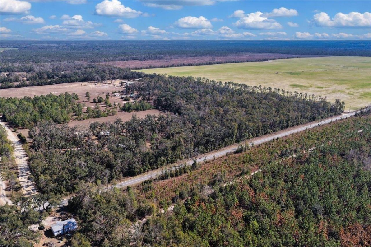 164 NE Fir, Pinetta, FL 32350 Photo