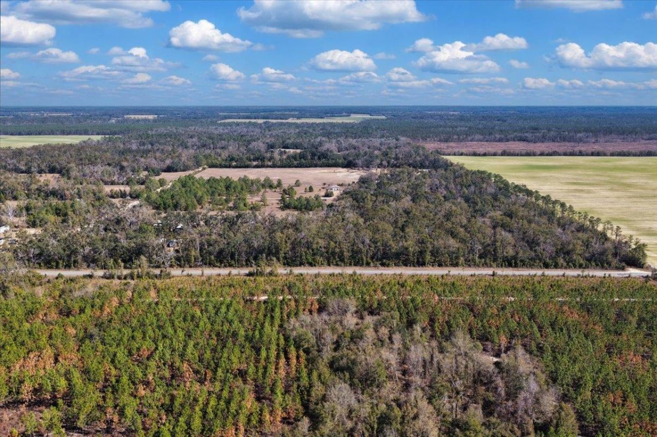 164 NE Fir, Pinetta, FL 32350 Photo