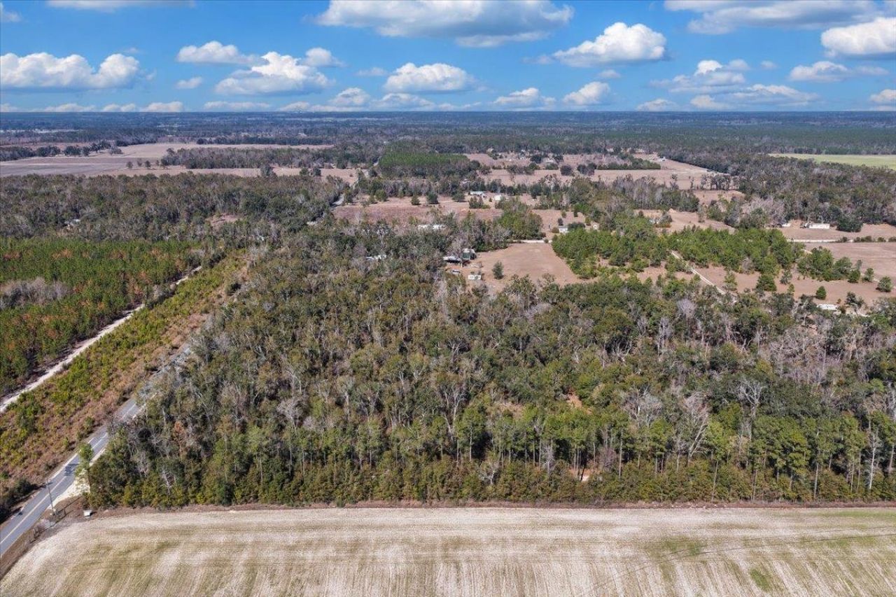 164 NE Fir, Pinetta, FL 32350 Photo