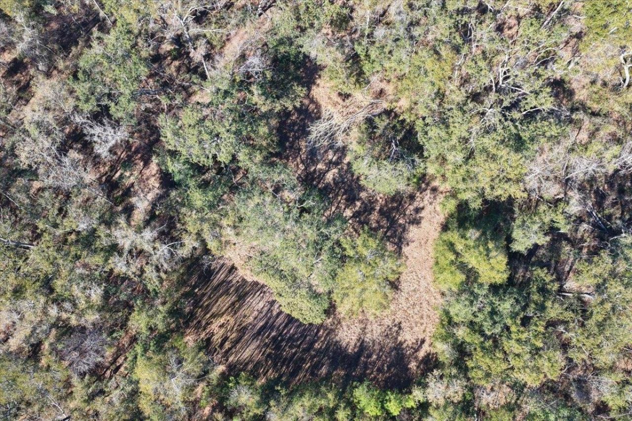 164 NE Fir, Pinetta, FL 32350 Photo