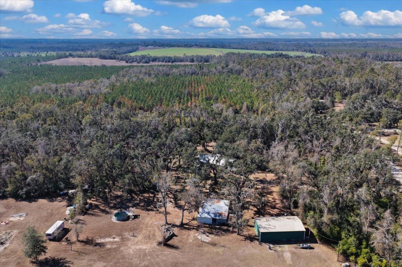 164 NE Fir, Pinetta, FL 32350 Photo