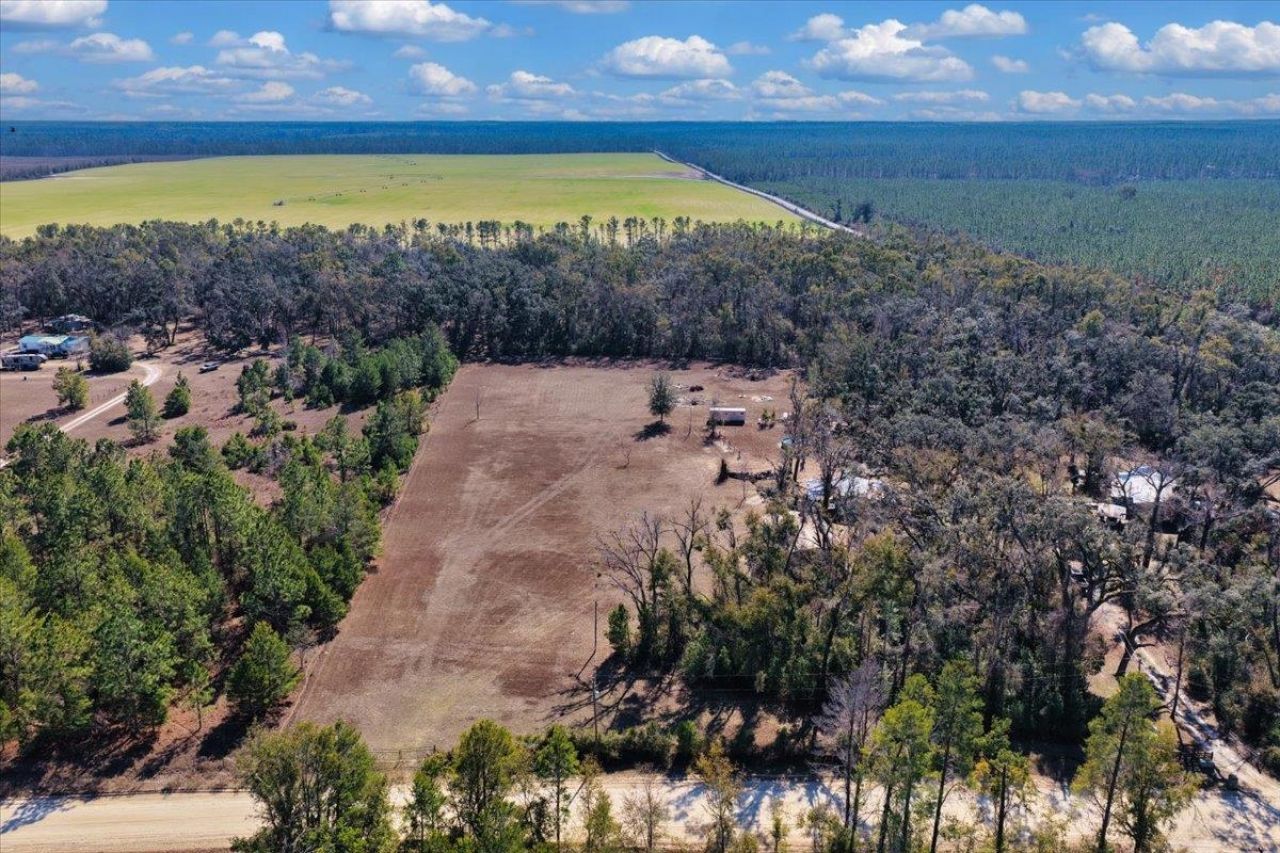 164 NE Fir, Pinetta, FL 32350 Photo