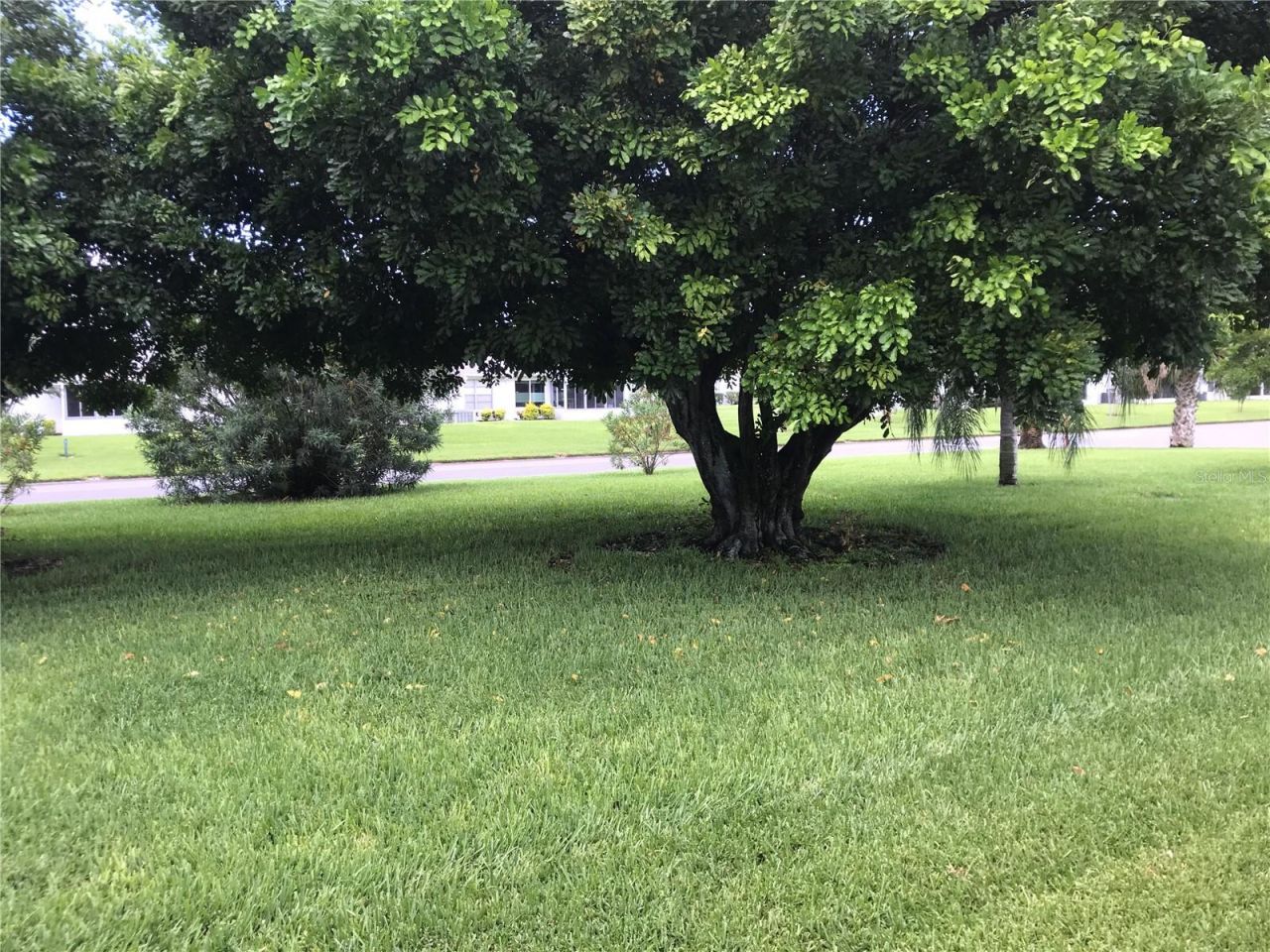 3705 34th Ave Drive W, Bradenton, FL 34205 Photo