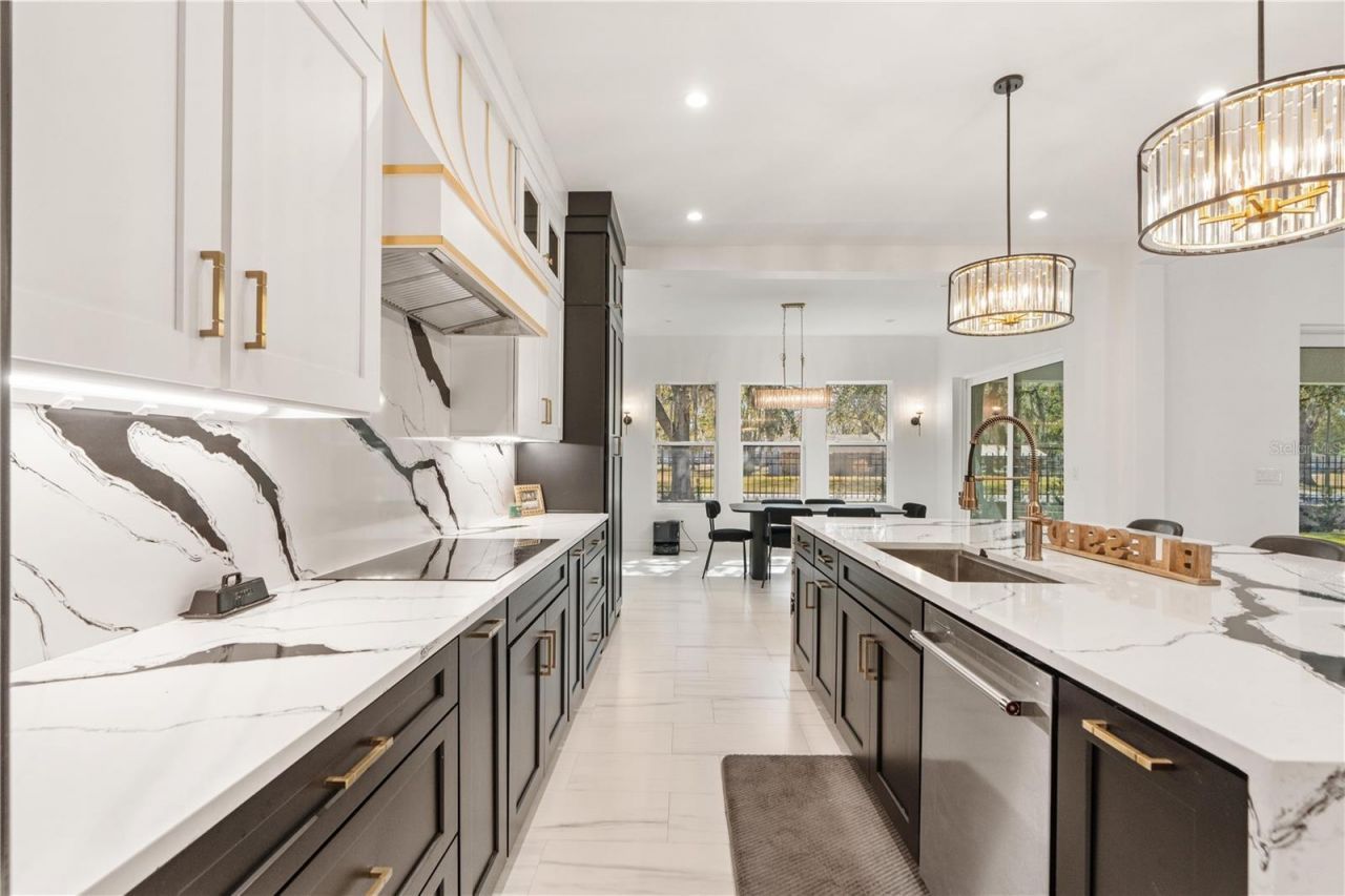 21206 Ski Way, Land O Lakes, FL 34638 Photo