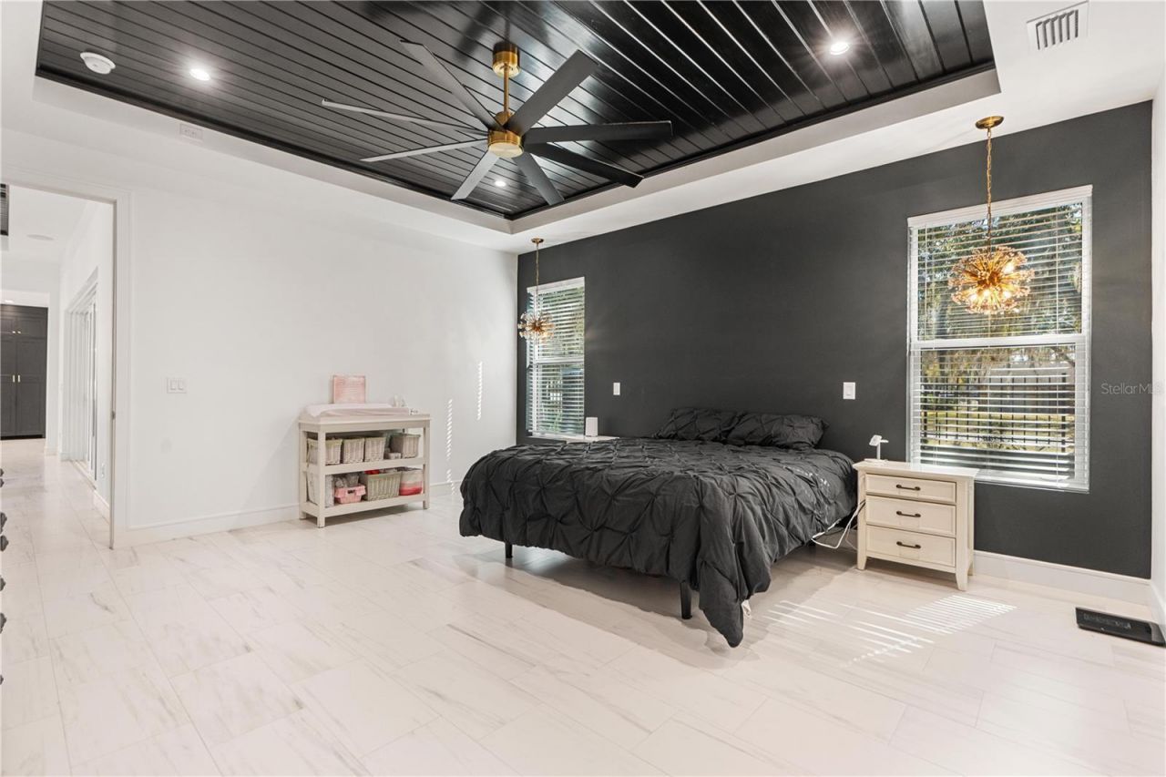 21206 Ski Way, Land O Lakes, FL 34638 Photo