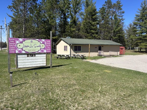 463 S Mount Tom Road, Mio, MI 48647