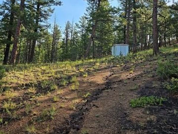 1117 Appleby Drive, Sedalia, CO 80135