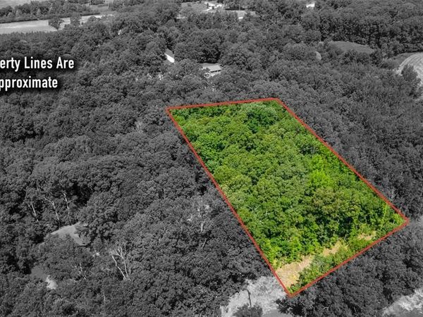 Lots B-63&65 Bella Vista Dr, Jackson, MO 63755