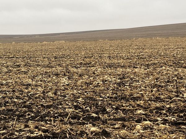 00 Allens Grove Road, Dixon, IA 52745