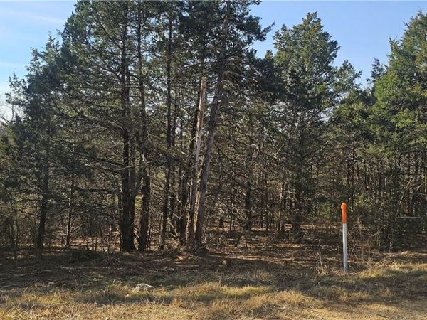 E Mockingbird Trail , Diamond City, AR 72630