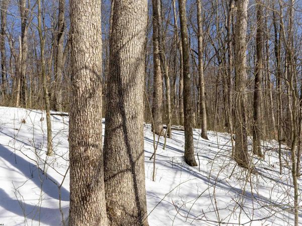 Lot 1 Cales Road, Masontown, WV 26542