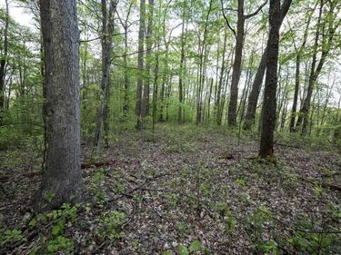 Lot 1 Cales Road, Masontown, WV 26542