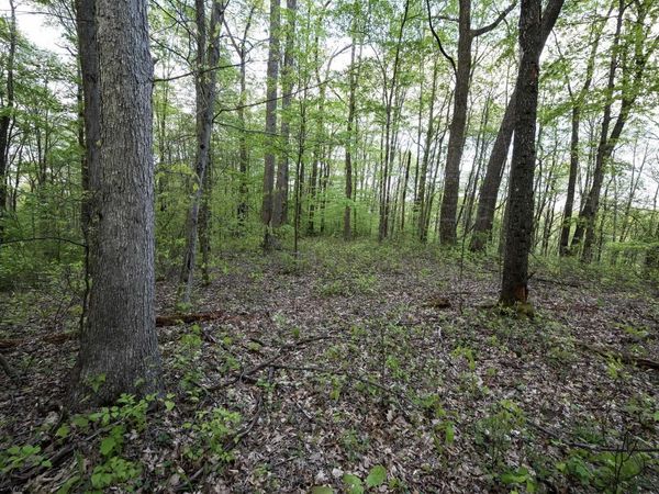 Lot 1 Cales Road, Masontown, WV 26542