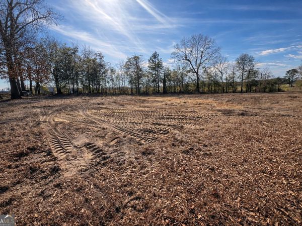 4539 Lewis Church Road, Millen, GA 30442