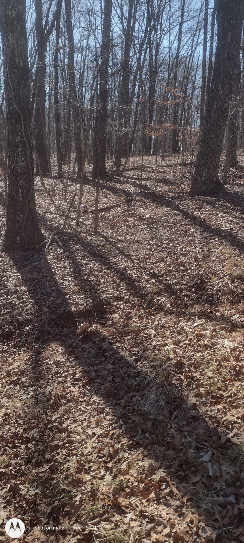 1 Ridge Cliff Drive, Monteagle, TN 37356 Main Photo