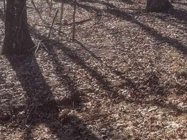 1 Ridge Cliff Drive, Monteagle, TN 37356