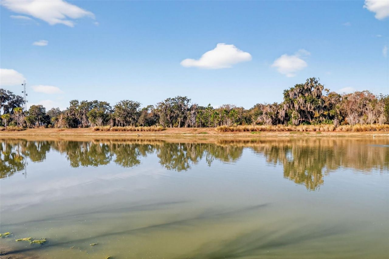 4138 Burgess Drive, The Villages, FL 32163 Photo