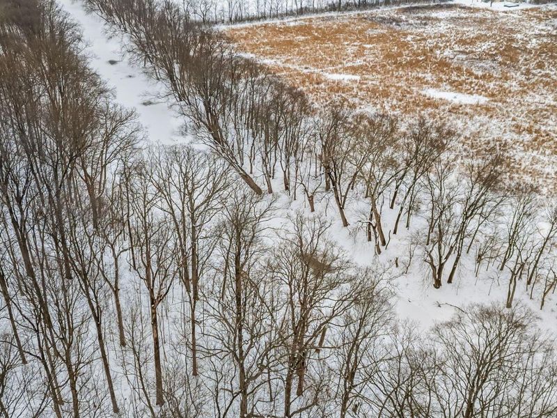 4449 Larue Prospect Road S, Prospect, OH 43342 Photo 12