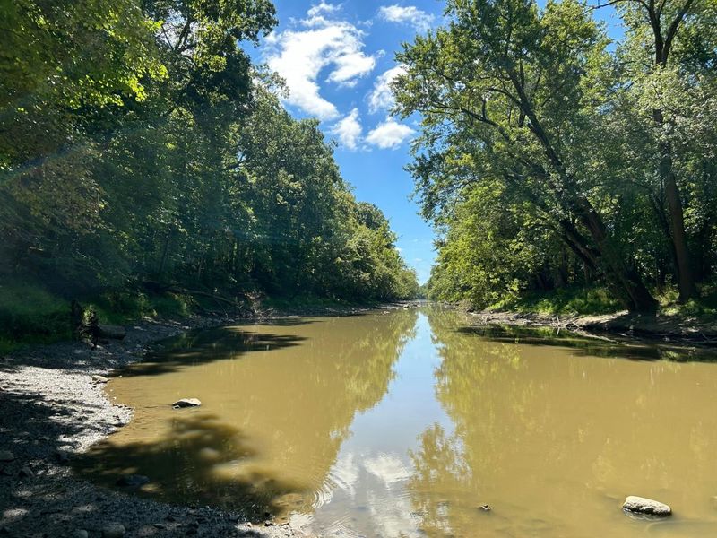 4449 Larue Prospect Road S, Prospect, OH 43342 Photo 14