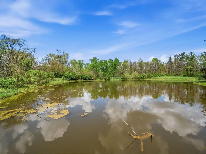 4449 Larue Prospect Road S, Prospect, OH 43342 Photo 15