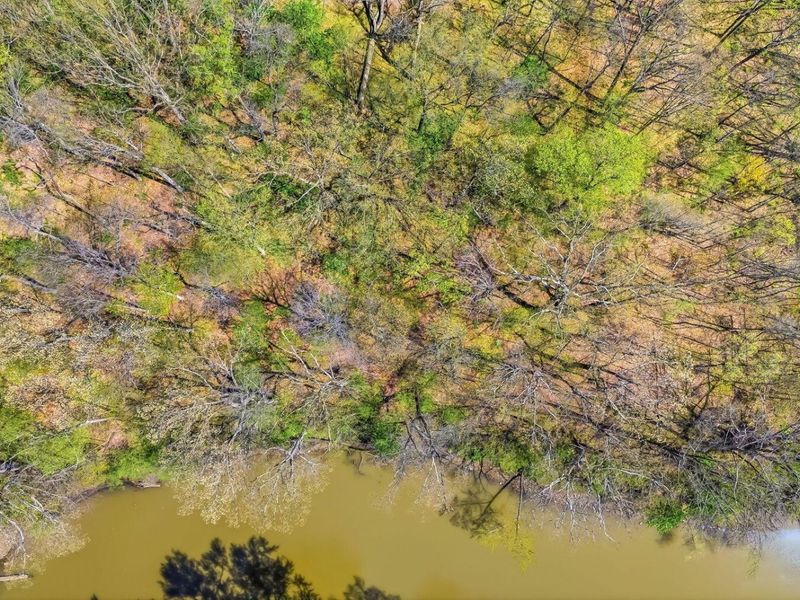 4449 Larue Prospect Road S, Prospect, OH 43342 Photo 18