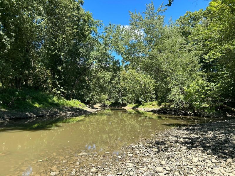 4449 Larue Prospect Road S, Prospect, OH 43342 Photo 20